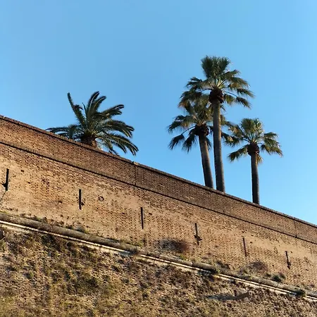 Musei Vaticani روما